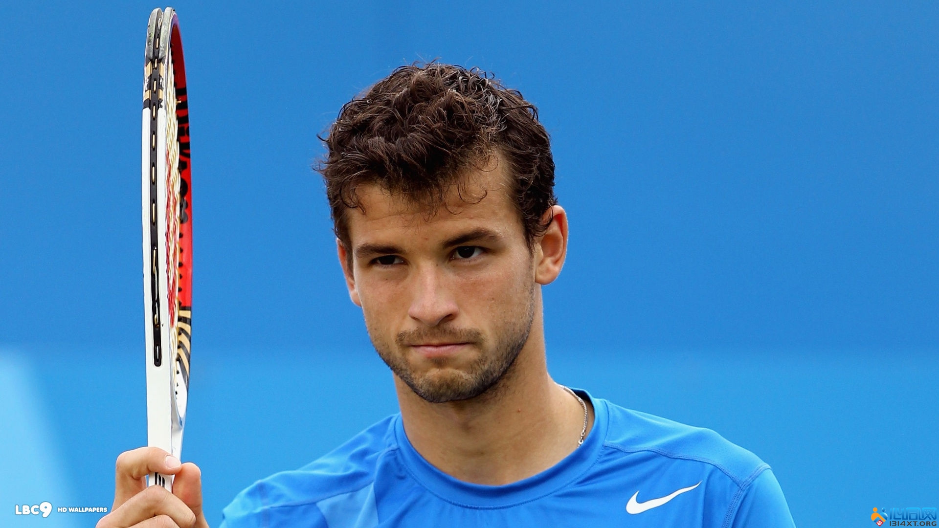 许会激发出 许会激发出