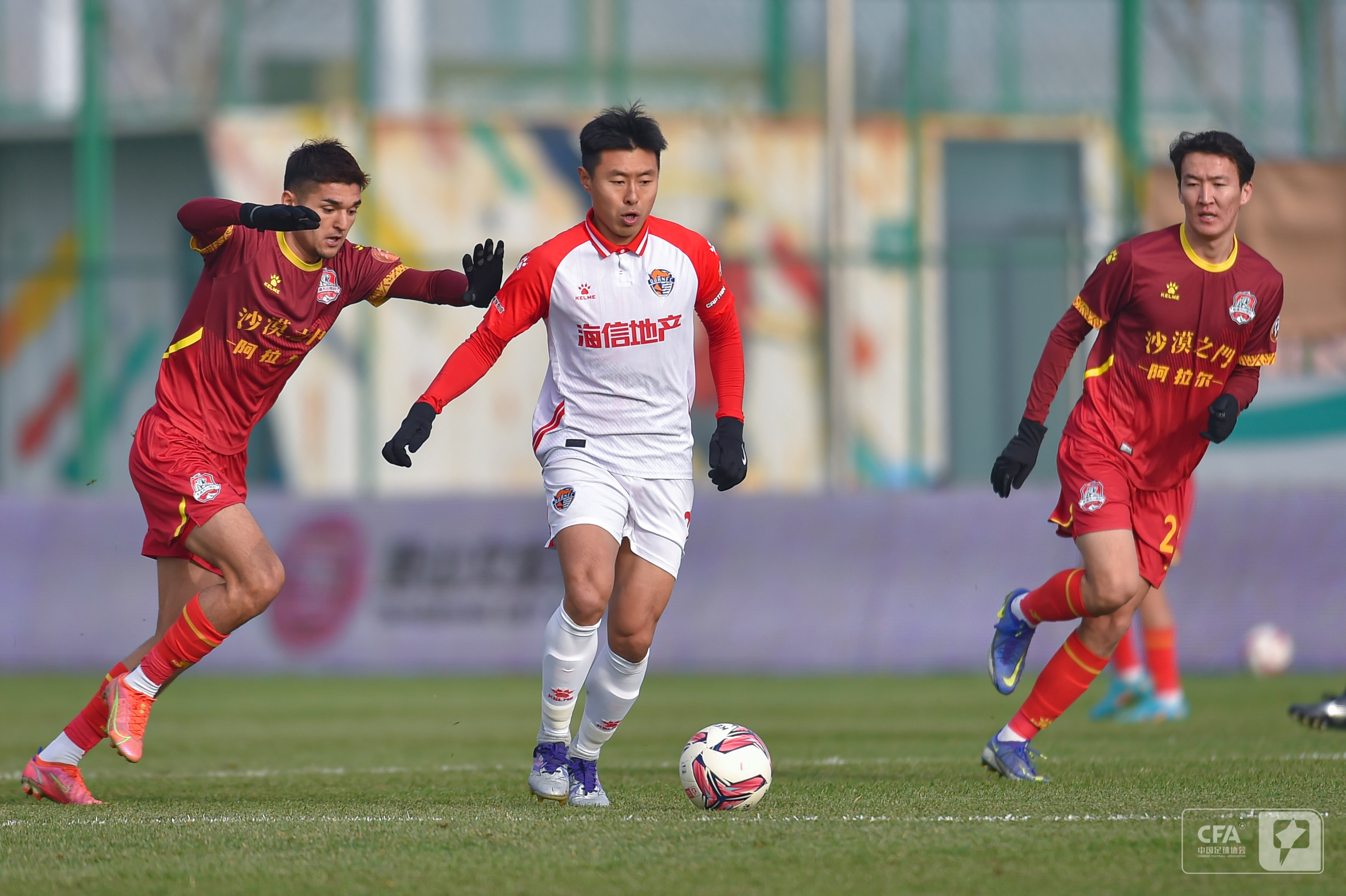 了灰熊在面 了灰熊在面