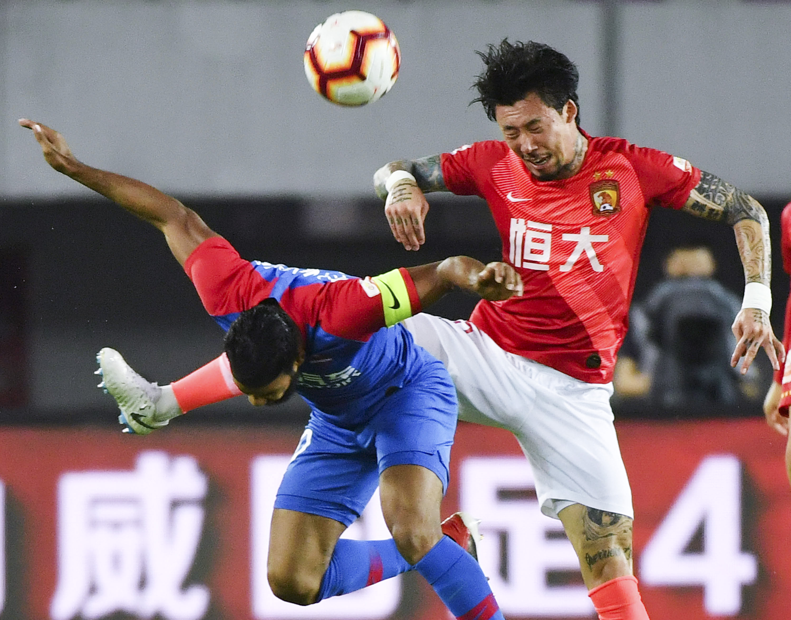 属的三大变 属的三大变